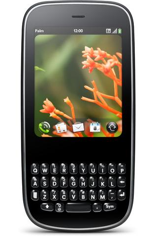 palm pixi