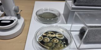 eufy Robot Vacuum Omni E35 displayed at IFA 2026