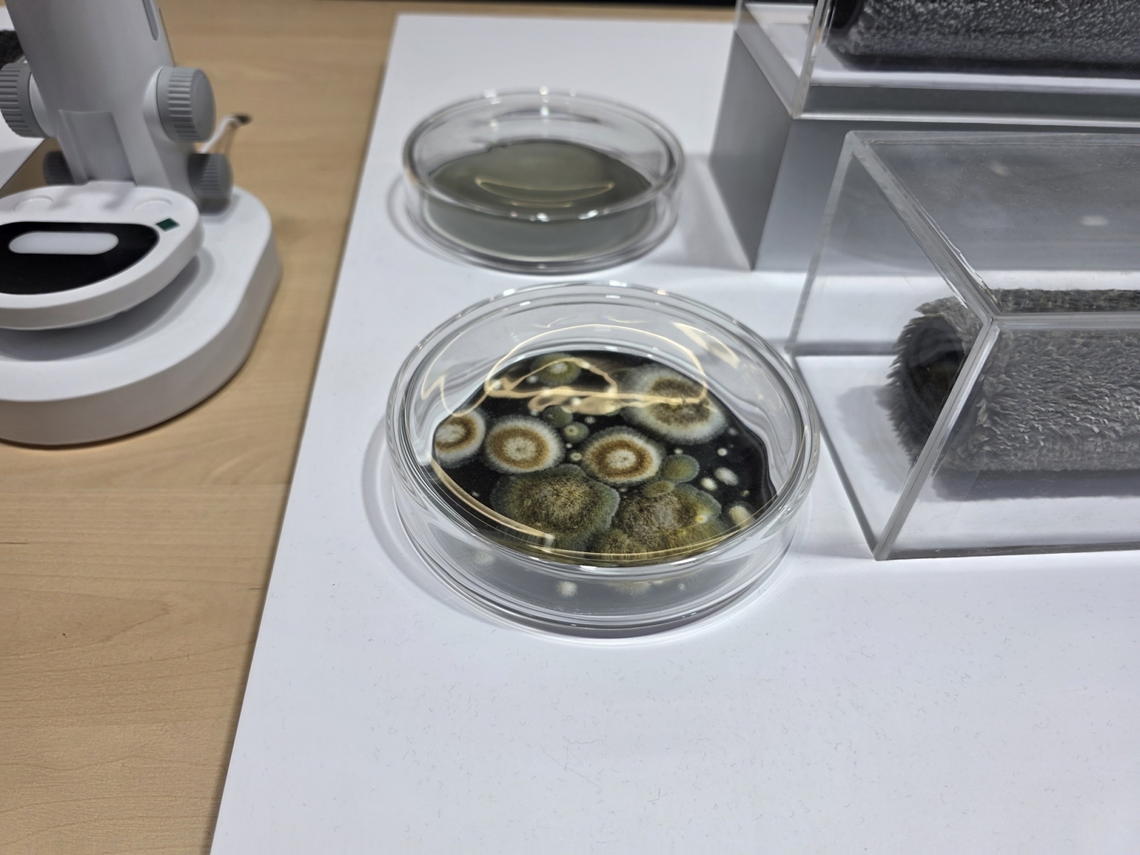 anker-eufy-robot-vacuum-omni-e35-aeroturbo-2-0-cover-a96524-002 eufy Robot Vacuum Omni E35 displayed at IFA 2026