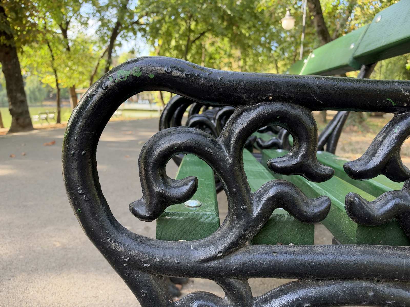 iPhone 18 Pro Max Camera Test: Variable Aperture Adds Physical Depth Control