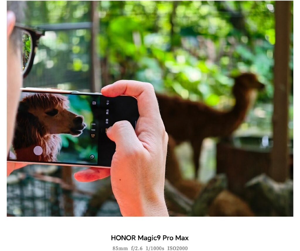 HONOR Magic9 Pro Max camera sample taken using an external teleconverter