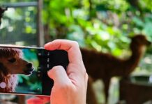 HONOR Shares Magic9 Pro Max Camera Samples Ahead of September 28 Launch HONOR Magic9 Pro Max promotional image highlighting the phone's camera system