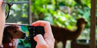 HONOR Magic9 Pro Max promotional image highlighting the phone's camera system