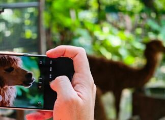 HONOR Shares Magic9 Pro Max Camera Samples Ahead of September 28 Launch HONOR Magic9 Pro Max promotional image highlighting the phone's camera system