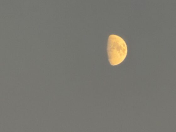 iPhone 18 Pro Max Camera Test: Variable Aperture Adds Physical Depth Control
