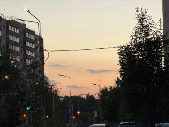 iPhone 18 Pro Max Camera Test: Variable Aperture Adds Physical Depth Control