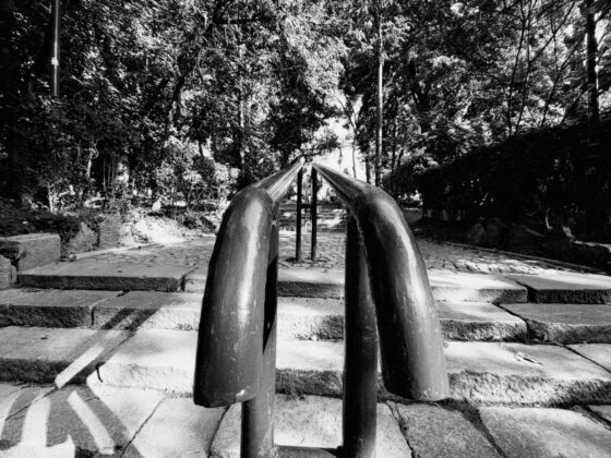 iPhone 18 Pro Max Camera Test: Variable Aperture Adds Physical Depth Control