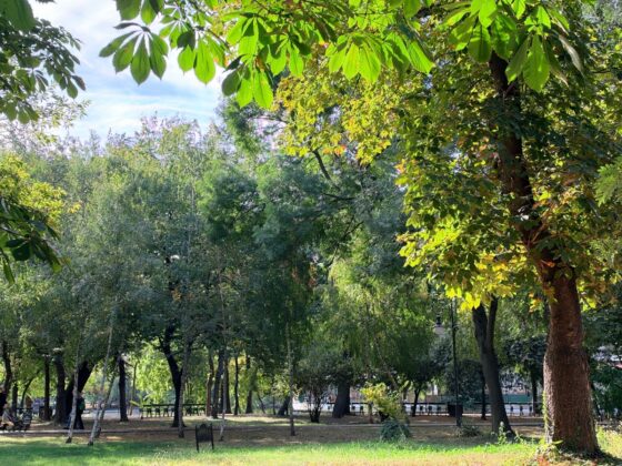 iPhone 18 Pro Max Camera Test: Variable Aperture Adds Physical Depth Control