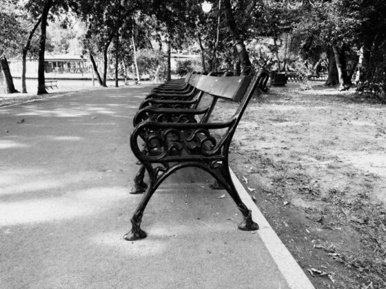 iPhone 18 Pro Max Camera Test: Variable Aperture Adds Physical Depth Control