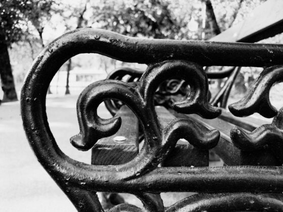 iPhone 18 Pro Max Camera Test: Variable Aperture Adds Physical Depth Control