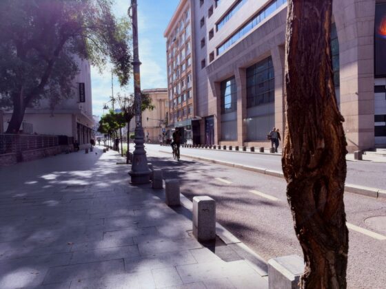 iPhone 18 Pro Max Camera Test: Variable Aperture Adds Physical Depth Control