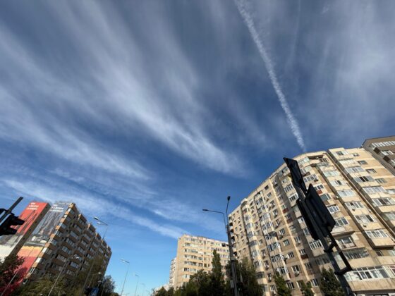 iPhone 18 Pro Max Camera Test: Variable Aperture Adds Physical Depth Control