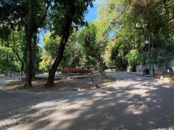 iPhone 18 Pro Max Camera Test: Variable Aperture Adds Physical Depth Control