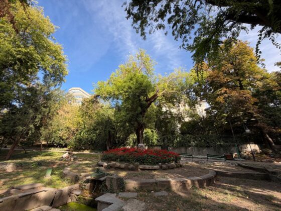 iPhone 18 Pro Max Camera Test: Variable Aperture Adds Physical Depth Control