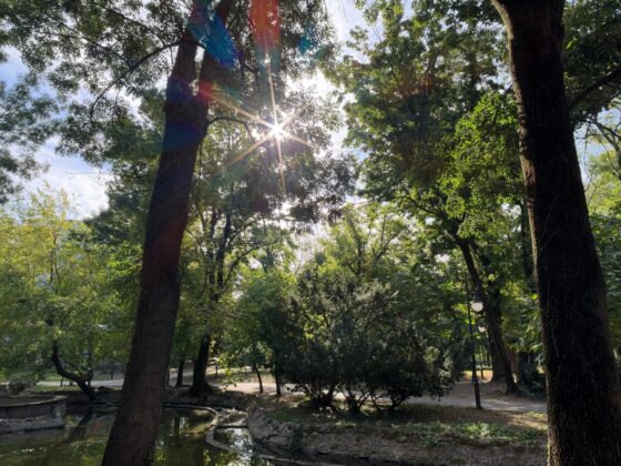 iPhone 18 Pro Max Camera Test: Variable Aperture Adds Physical Depth Control
