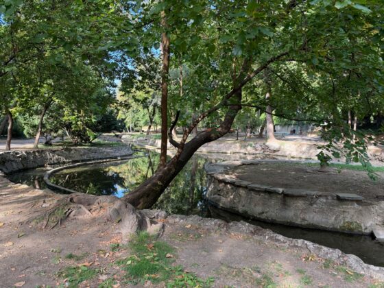 iPhone 18 Pro Max Camera Test: Variable Aperture Adds Physical Depth Control