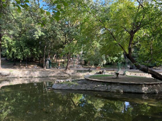 iPhone 18 Pro Max Camera Test: Variable Aperture Adds Physical Depth Control