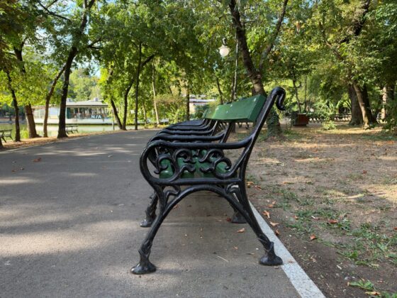 iPhone 18 Pro Max Camera Test: Variable Aperture Adds Physical Depth Control