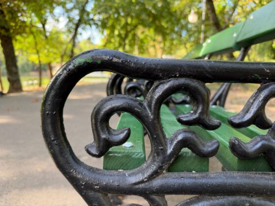 iPhone 18 Pro Max Camera Test: Variable Aperture Adds Physical Depth Control