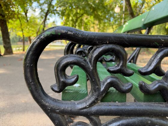 iPhone 18 Pro Max Camera Test: Variable Aperture Adds Physical Depth Control