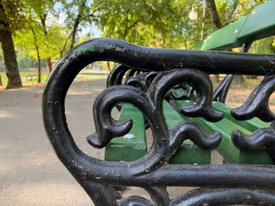 iPhone 18 Pro Max Camera Test: Variable Aperture Adds Physical Depth Control