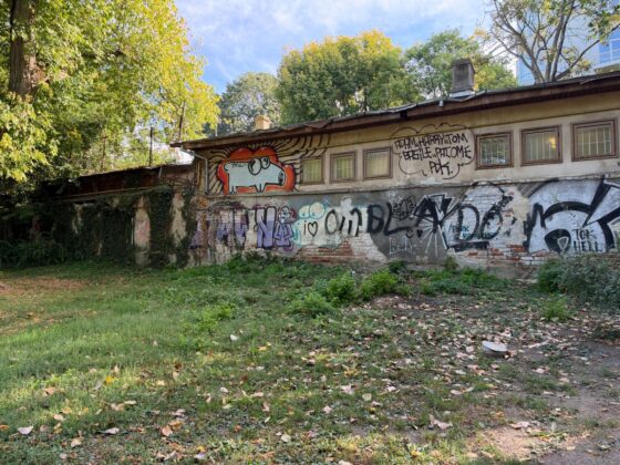 iPhone 18 Pro Max Camera Test: Variable Aperture Adds Physical Depth Control