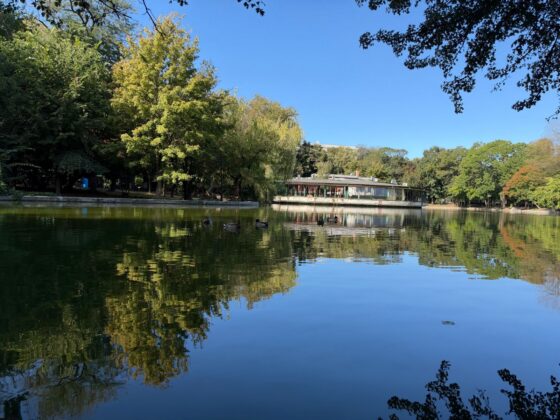 iPhone 18 Pro Max Camera Test: Variable Aperture Adds Physical Depth Control