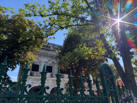 iPhone 18 Pro Max Camera Test: Variable Aperture Adds Physical Depth Control