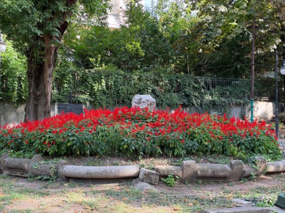 iPhone 18 Pro Max Camera Test: Variable Aperture Adds Physical Depth Control