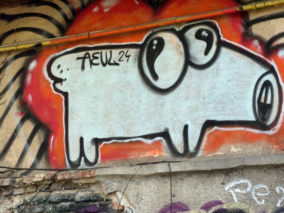 iPhone 18 Pro Max Camera Test: Variable Aperture Adds Physical Depth Control