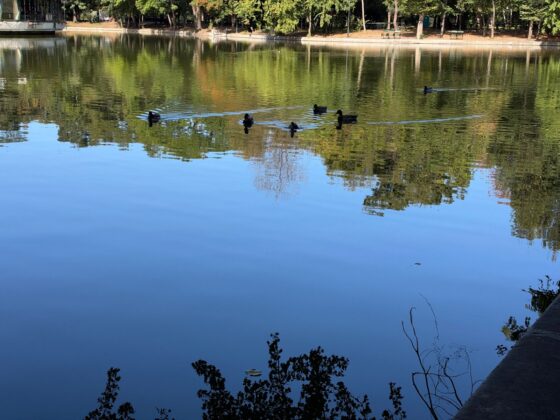 iPhone 18 Pro Max Camera Test: Variable Aperture Adds Physical Depth Control