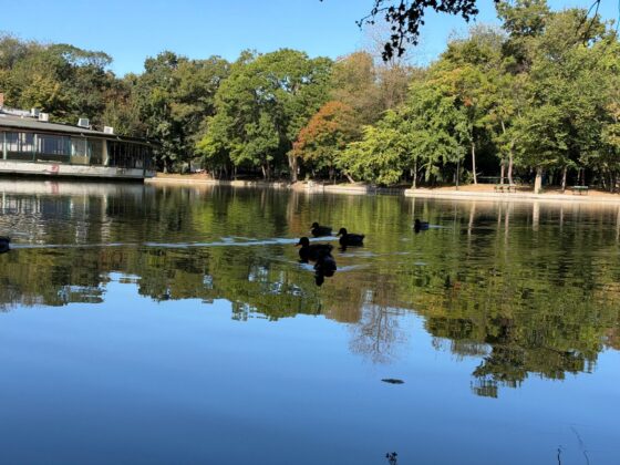 iPhone 18 Pro Max Camera Test: Variable Aperture Adds Physical Depth Control