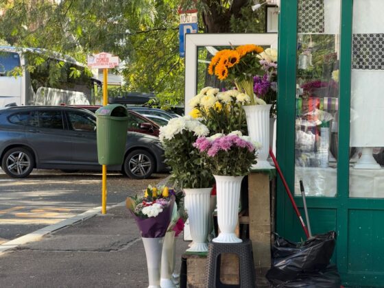 iPhone 18 Pro Max Camera Test: Variable Aperture Adds Physical Depth Control