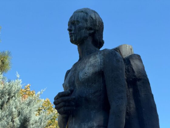 iPhone 18 Pro Max Camera Test: Variable Aperture Adds Physical Depth Control