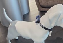 MOVA Shows Robot Dog, Home Energy Storage and 3D Printer at IFA 2026 MOVA Shows Robot Dog, Home Energy Storage and 3D Printer at IFA 2026