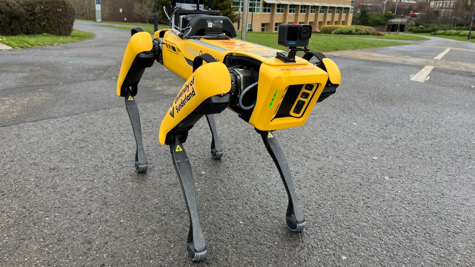 roboti-patrupezi-unitree-deep-robotics-cover-a96884-001 Quadruped robot market report illustration
