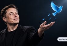 X Wins Temporary Block on Twitter Name, but Not Tweet or Blue Bird Logo X and Twitter branding graphic illustrating the trademark dispute