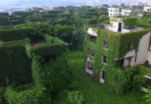 UBTECH’s Liuzhou Plant Targets More Than 10,000 Humanoid Robots a Year UBTECH’s Liuzhou Plant Targets More Than 10,000 Humanoid Robots a Year