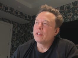 Elon Musk during an interview