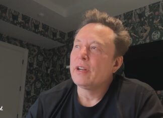 Elon Musk Proposes AI Labs Test Rivals’ Models Ahead of Release Elon Musk during an interview