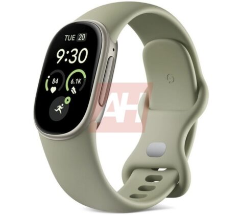 Leaked view of the Fitbit Edge fitness band and strap