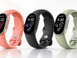 Leaked Fitbit Edge fitness band with oval touchscreen
