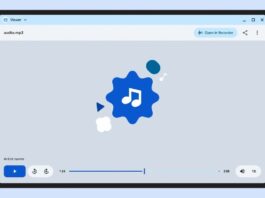 Google Viewer file-management and editing interface for Googlebook