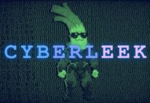 CyberLeek Claims It Will Release a Playable GTA 6 Build if Its Memecoin Hits $30 Million Grand Theft Auto VI promotional artwork