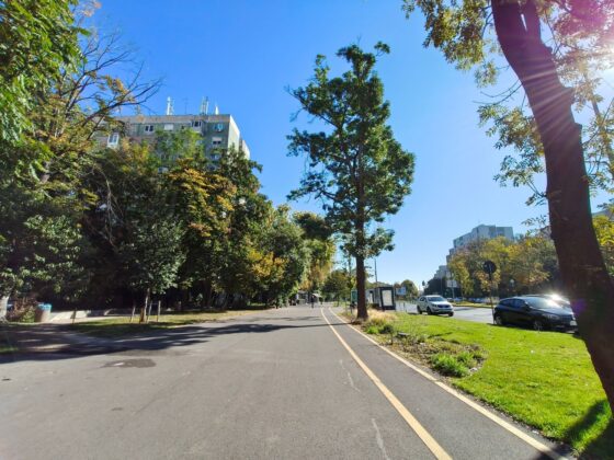 TCL P80 Ultra Camera Test: 3x Periscope Zoom Leads a Versatile Setup