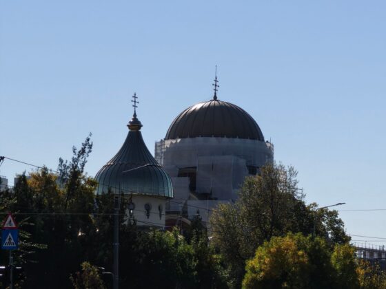 TCL P80 Ultra Camera Test: 3x Periscope Zoom Leads a Versatile Setup