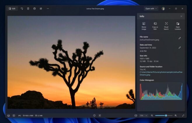 Windows 11 Photos gallery combining image libraries