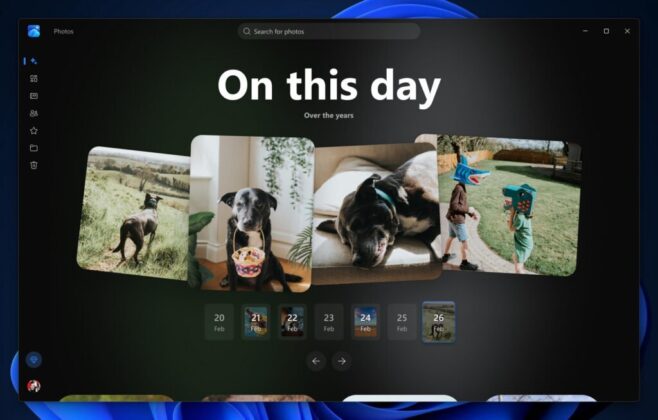 Windows 11 Photos image viewer interface
